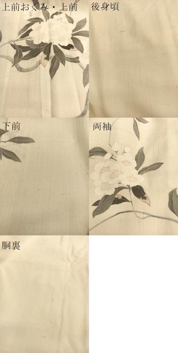 平和屋着物○訪問着 生紬地 友禅 枝花文 正絹 逸品 BAAT6637hv