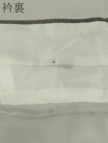 平和屋着物○本塩沢 霞文 正絹 逸品 CAAS0232th