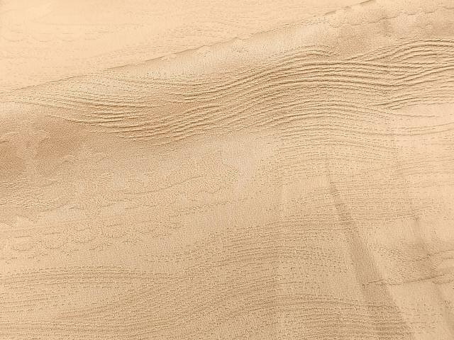 平和屋着物▽上質な色無地 単衣 花唐草地紋 赤香色