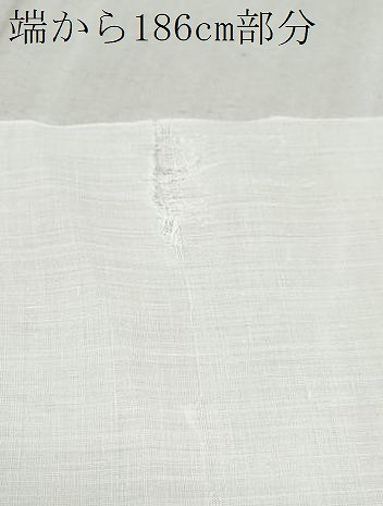 平和屋着物●夏物　越後上布　反物　着尺　苧麻　逸品　未使用　CAAU4840th