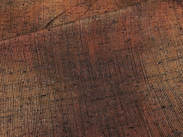 平和屋着物▽上質な紬 単衣 霞文 正絹 逸品 CAAW1369xi 平和屋