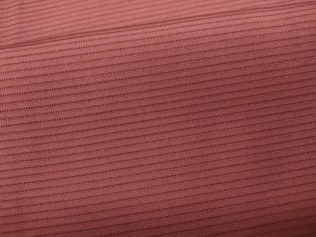 平和屋着物＊夏物　色無地　絽　長春色　正絹　逸品　CAAW3123ut