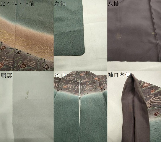 平和屋着物○訪問着 草花文 暈し染め 金彩 鬼しぼ縮緬 正絹