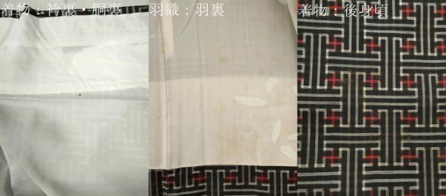平和屋着物●本場大島紬　龍郷絣　秋名バラ　アンサンブル　正絹　逸品　CABB4384yc_8