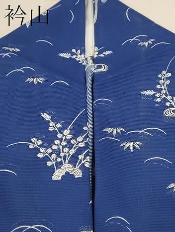 平和屋着物＊夏物　訪問着　絽　流水渡橋草花文　洗える着物　CABB9640ze_8