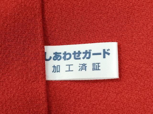平和屋着物●豪華振袖　辻が花　絞り　暈し染め　金通し地　正絹　逸品　CABC7166yc_9