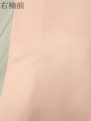 平和屋着物●訪問着　雪芝花文　暈し染め　金彩　正絹　逸品　CABC8294gh_8