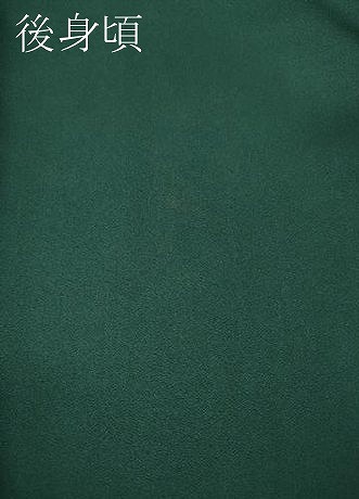 平和屋着物●訪問着　吉祥草花文　暈し染め　金銀彩　さが美扱い　ロング丈　正絹　逸品　未使用　CABE7009ut_8