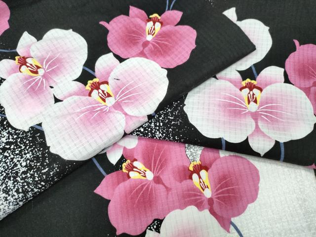 平和屋着物∴夏物　浴衣　綿紅梅　胡蝶蘭　黒地　綿　逸品　CABE9008ng