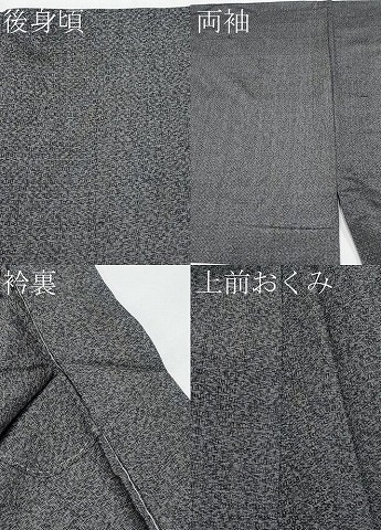 平和屋着物＊夏物　男性　紗紬　霞文　正絹　逸品　CABF2478tx_7