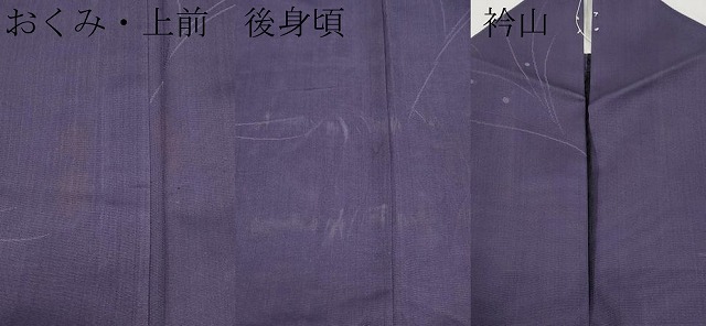 平和屋着物＊夏物　小紋　紗　草木文　深紫色地　洗える着物　CABF2625tx_7