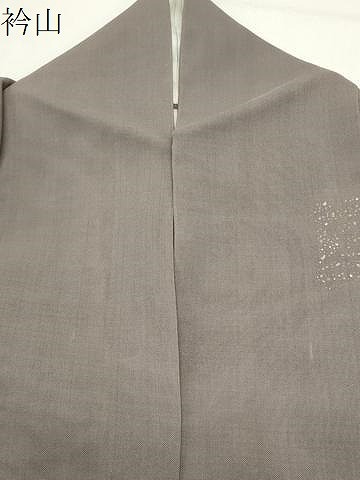 平和屋着物＊夏物　訪問着　紗　舞葉文　暈し染め　金銀彩　正絹　逸品　CABG4273gh