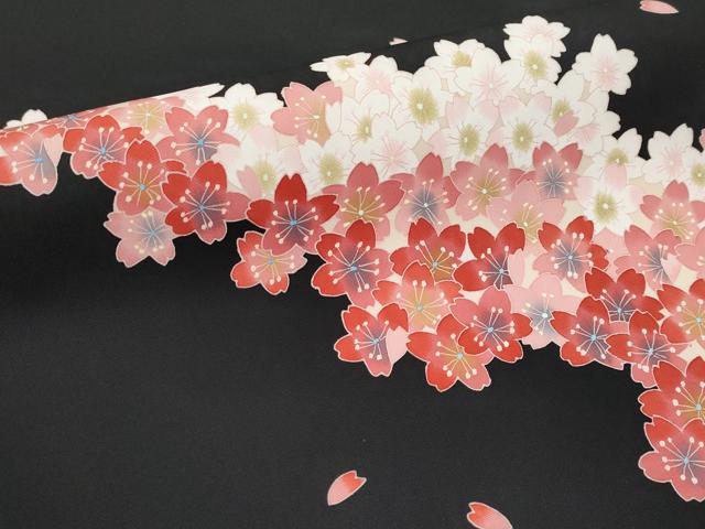 平和屋本店□極上 塩瀬 九寸名古屋帯 作家物 友禅 夜桜 黒地 逸品