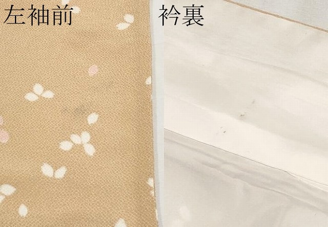 平和屋着物○極上 訪問着 舞桜 鬼しぼ縮緬 淡香色地 逸品 CYAA4083s6