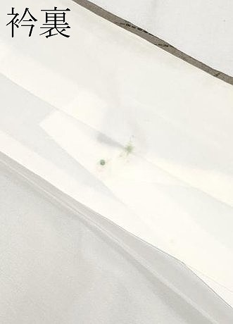 平和屋着物●極上　伝統工芸士　七代目　吉澤与市　紬　間道　逸品　CYAA4232s6_9