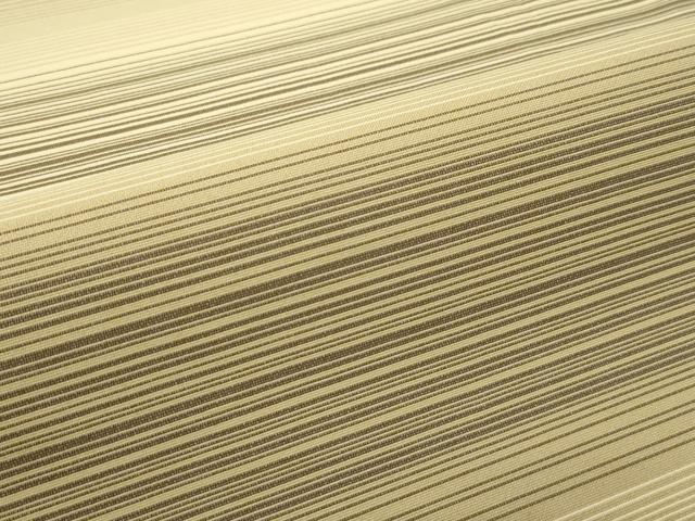 平和屋着物□極上 インド・アッサム 野蚕糸 手織 ムガシルク 両面 全通