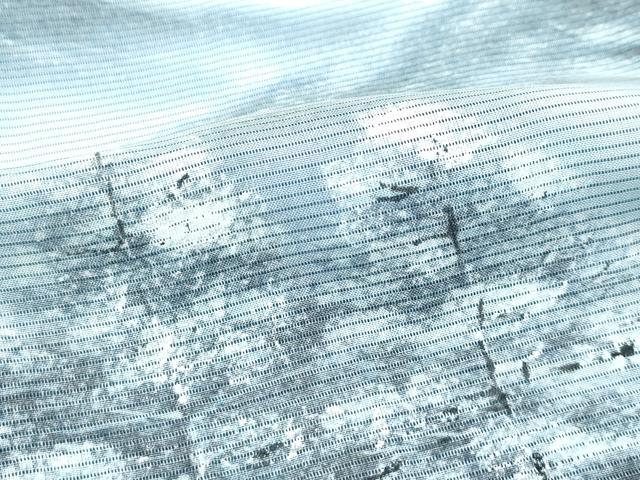 平和屋着物□極上 訪問着 無双 紗袷 紗×絽 手描き 遠山樹林