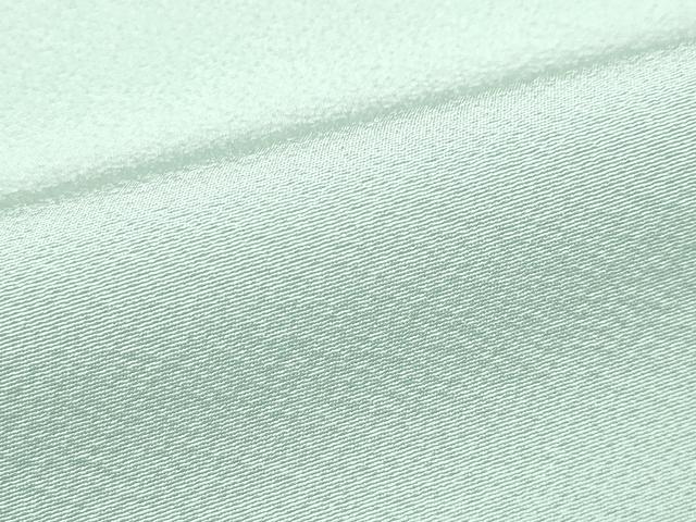 平和屋着物□極上 色無地 裏葉柳色 逸品 未使用 CZAA3640s5 色無地