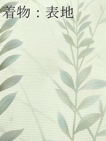 平和屋着物＊極上　夏物　訪問着・長襦袢セット　絽　秋草文　暈し染め　砂色地　逸品　未使用　CZAA4434s6_9