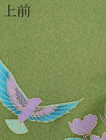 平和屋着物●極上　染色作家　斉藤三才　三才鳥　訪問着　枝花文　暈し染め　金彩　草色地　逸品　未使用　CZAA4976s6_8