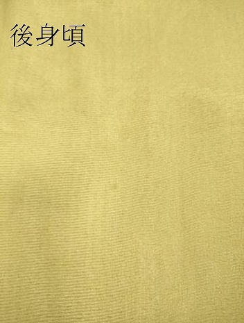 平和屋着物▽訪問着　無双　紗袷　紗×絽　吉祥花文　暈し染め　正絹　逸品　DAAS0291az_9