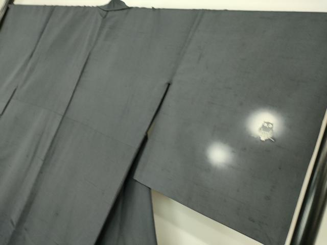 平和屋着物▽十日町 名門青柳謹製 赤城紬 訪問着 単衣 ふくろう 蛍