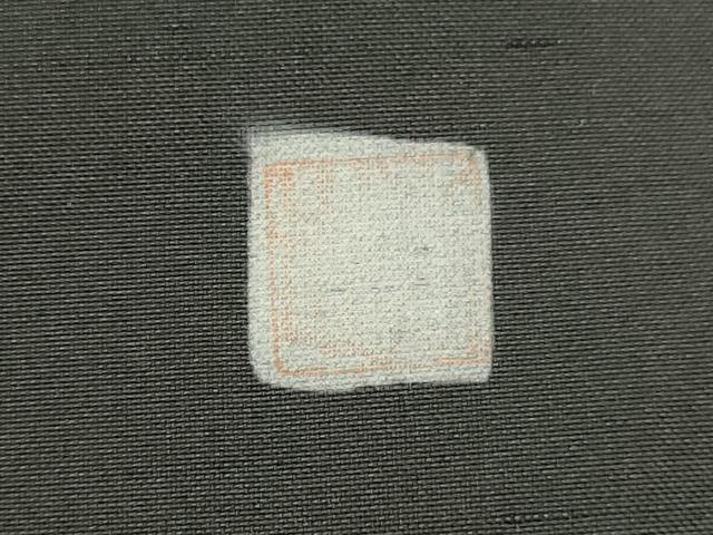 平和屋着物○訪問着 作家物 紬地 手描き 猫 ネコ てんとう虫 正絹