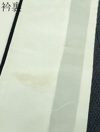 平和屋着物▽本塩沢　単衣　110亀甲　菱文　正絹　逸品　DAAU6371sf_6