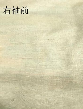 平和屋着物▽上質な紬 単衣 舞花文 正絹 逸品 DAAV5031az