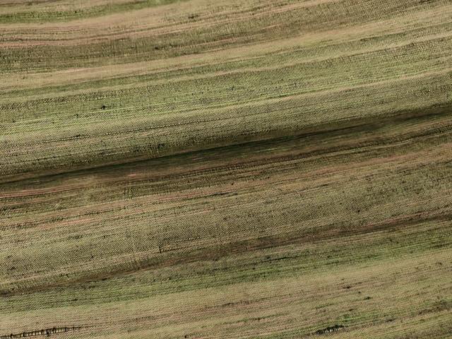 平和屋着物▽上質な紬　単衣　霞文　正絹　逸品　DAAV5768az