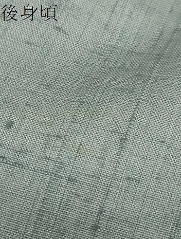 平和屋着物●訪問着　作家物　生紬　手描き　草花文　金彩　正絹　逸品　DABC2205ud_9