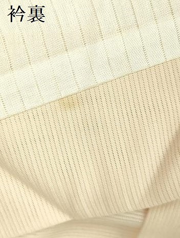 平和屋着物＊夏物　訪問着　絽　草花　暈し染め　銀彩　正絹　逸品　DABE1843op_9