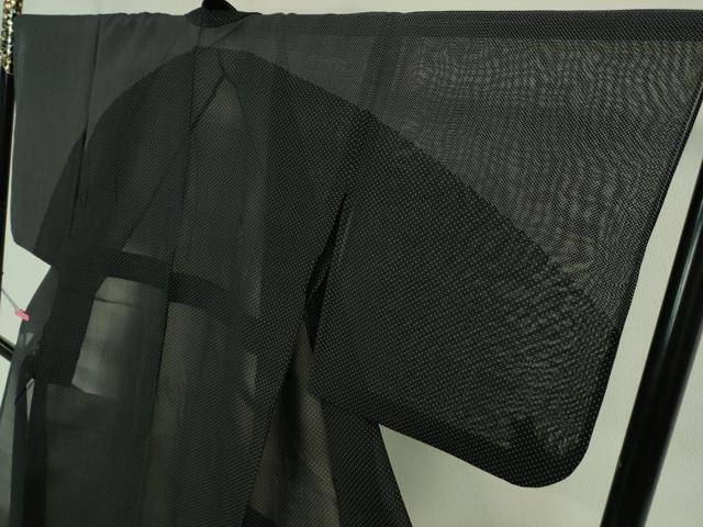 平和屋本店□極上 夏物 本塩沢 夏塩沢 飛白時雨 蝉羽の衣