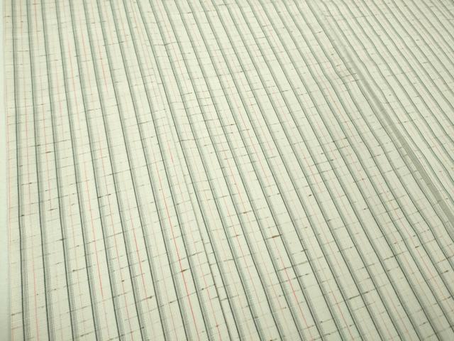 平和屋着物□極上 ぜんまい紬 縞 逸品 DZAA7942kh5 紬