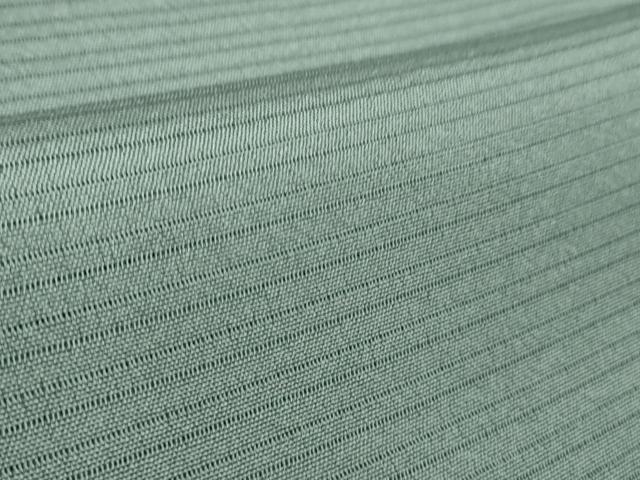 平和屋着物□極上 松尾光琳 色無地 無双 絽袷 絽×絽 絽