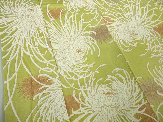 平和屋着物□極上 小紋 乱菊 若芽色地 鬼しぼ縮緬 金彩 逸品 DZAA9405kh5