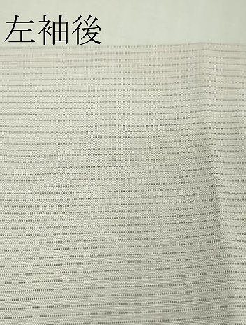 平和屋着物■極上　夏物　訪問着　友禅　絽　色紙花文　薄桜色地　暈し染め　逸品　DZAB1132kh5_9