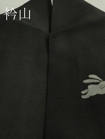 平和屋着物＊極上　夏物　紗紬　飛兎　黒地　逸品　DZAB3263kh6_9