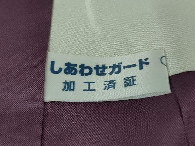 平和屋本店●極上　訪問着　お召地　鬼　雷様　濃い熨斗目花色地　ロング丈　逸品　DZAB5189kh6_9