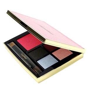 ｛在庫処分｝箱なし【メール便】アンプリチュード コンスピキュアス アイ＆チークカラーパレット リミテッドコレクション ｂ