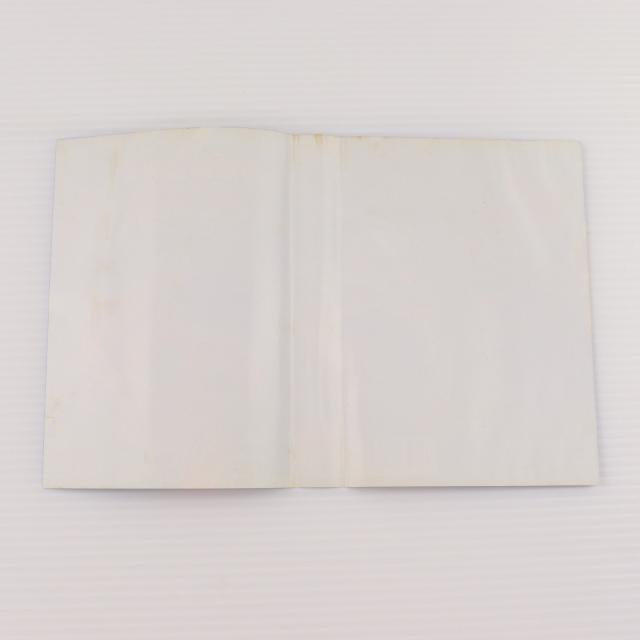 【中古即納】[MD] アローフラッシュ(カートリッジ) セガ(19901020)_2