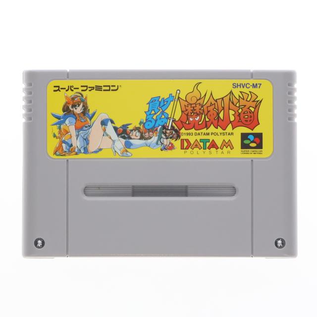 ゲームソフト スーパーファミコン ゴーストチェイサー 電精