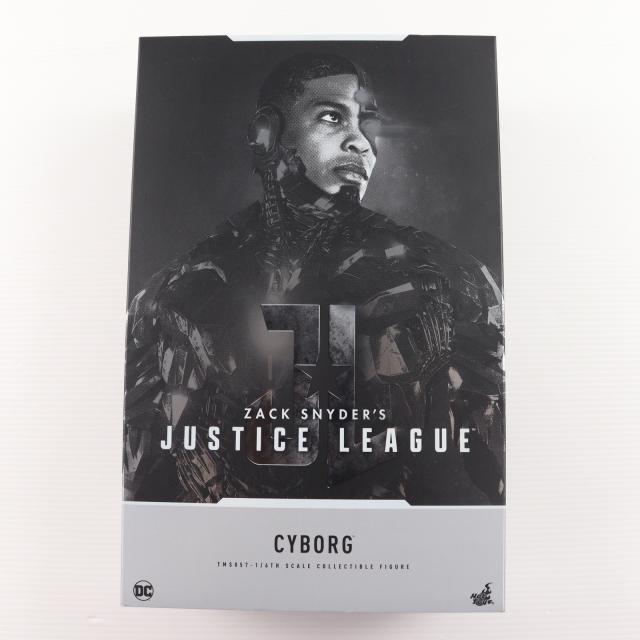 ホットトイズ サイボーグ ホットトイズ テレビ・マスターピース