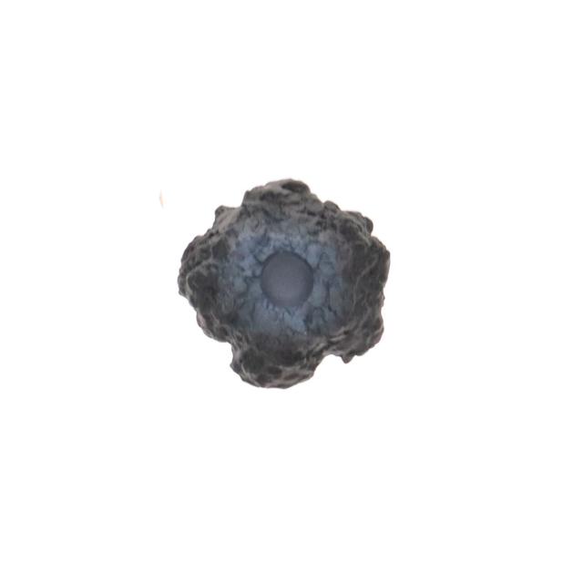 【中古即納】[FIG] 盛り土付属 RPG-03 ゾンビ グリサ 1/12 完成品 アクションフィギュア SNAIL SHELL(蝸之殻)(20250419)_4