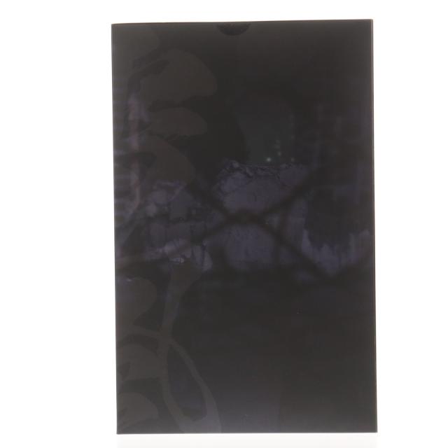 【中古即納】[FIG] ポストカード付属 ネイティブキャラクターズセレクション 大人ゆきかぜ 対魔忍RPGX 1/6 完成品 フィギュア のくちゅるぬ/ネイティブ(20260124)_1