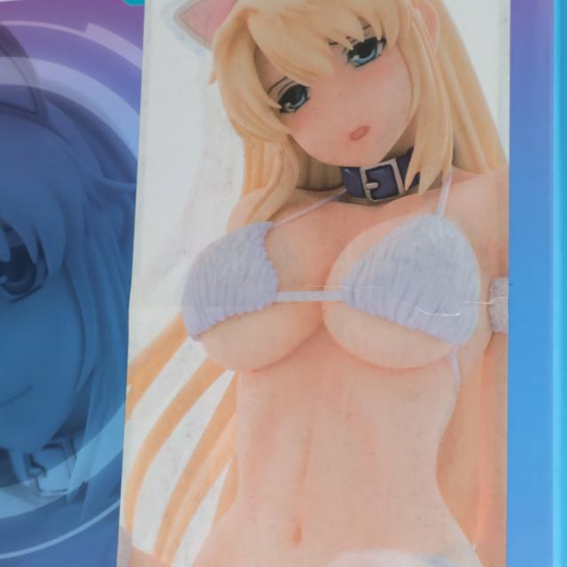 【中古即納】[FIG] サテライザー=エル=ブリジット ver.アニコスPure White フリージング ヴァイブレーション 1/6 為し遂げる品 図形 オルカトイズ(20150809)