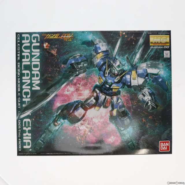 中古即納】[PTM]プレミアムバンダイ限定 MG 1/100 GN-001/hs-A01D