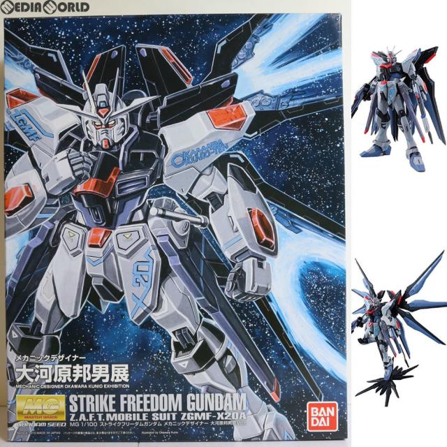 MG 機動戦士ガンダムSEED DESTINY デスティニーガンダム 1/100