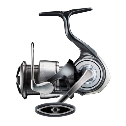 ダイワ(DAIWA) スピニングリール 24セルテ-ト LT3000 (2024年モデル)