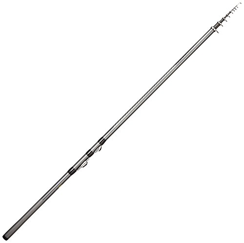 シマノ(SHIMANO) 磯竿 17 ホリデー磯 2号 400 サビキ釣り